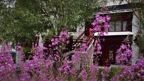 Lharimo North Nubra Valley Hotel Wahegaon Exterior photo